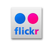 flickr logo